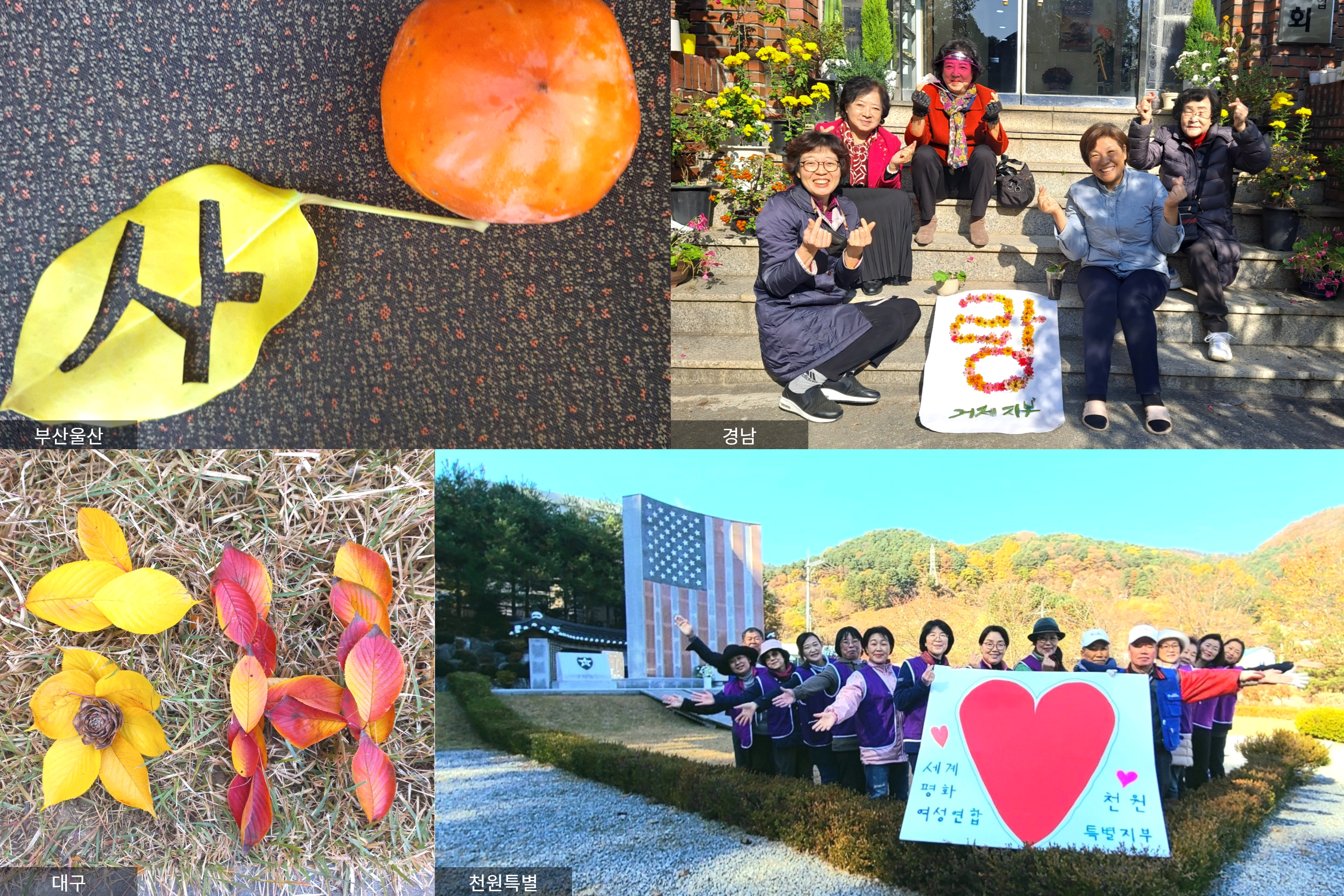 제목을 입력하세요 (8).jpg