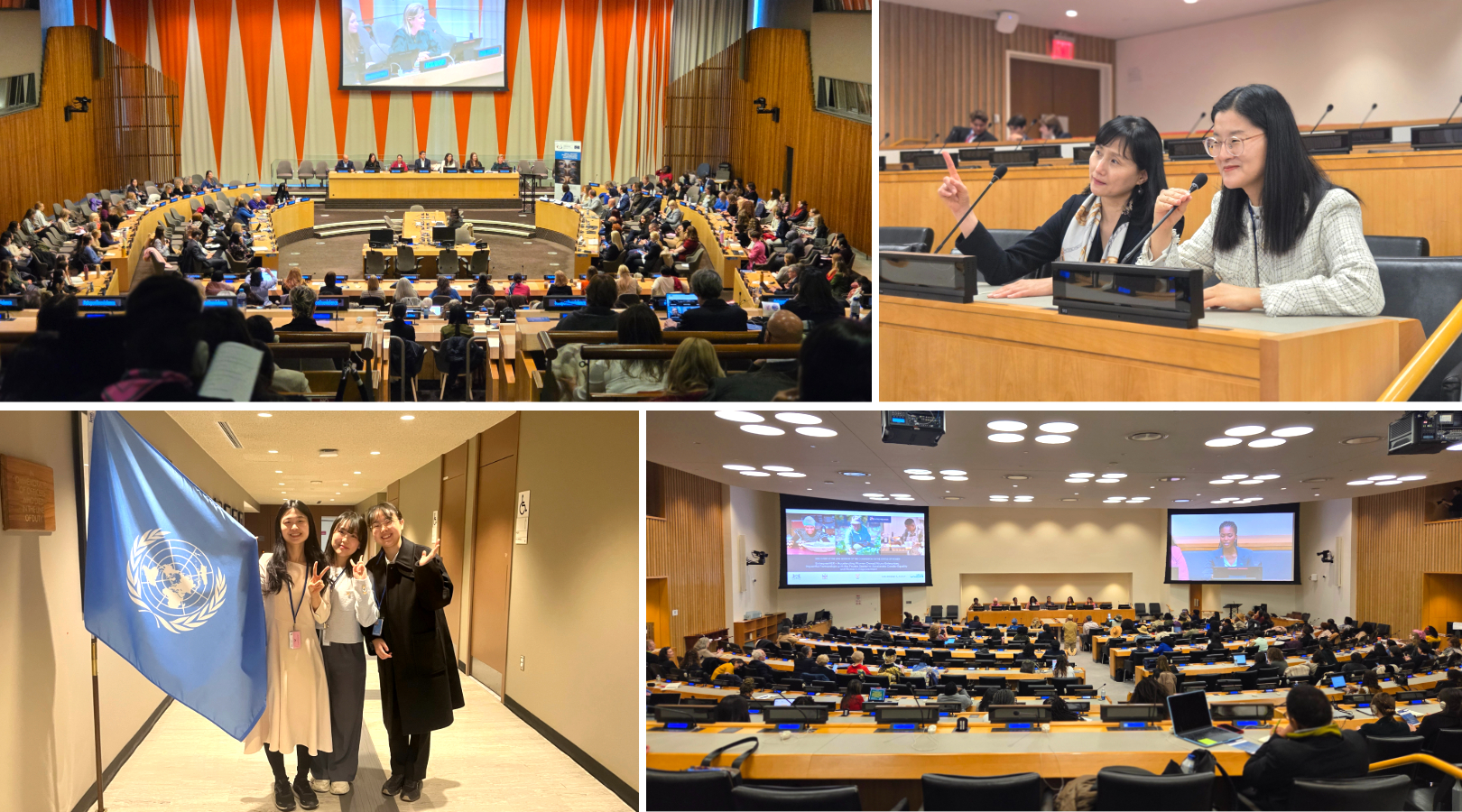 제목을 입력하세요 94.jpg