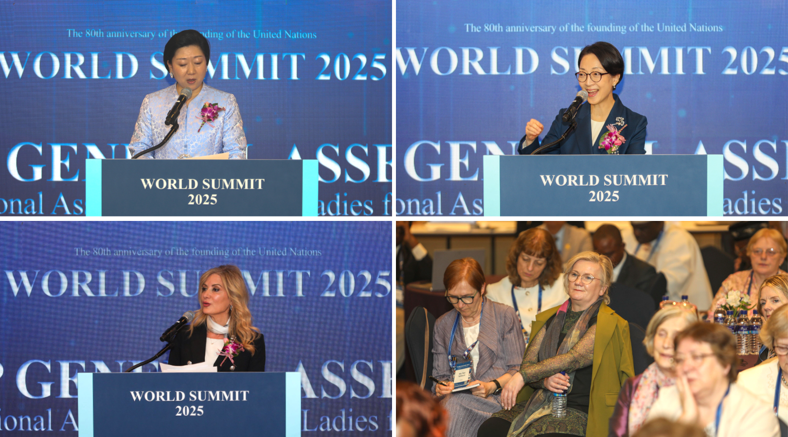 제목을 입력하세요 114.jpg